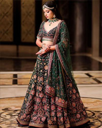 Lehenga Choli